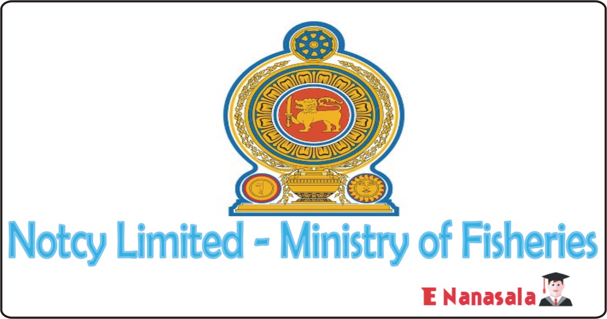 Government Job Vacancies in Notcy Limited - Ministry of Fisheries Job Vacancies, Notcy Limited - Ministry of Fisheries jobs