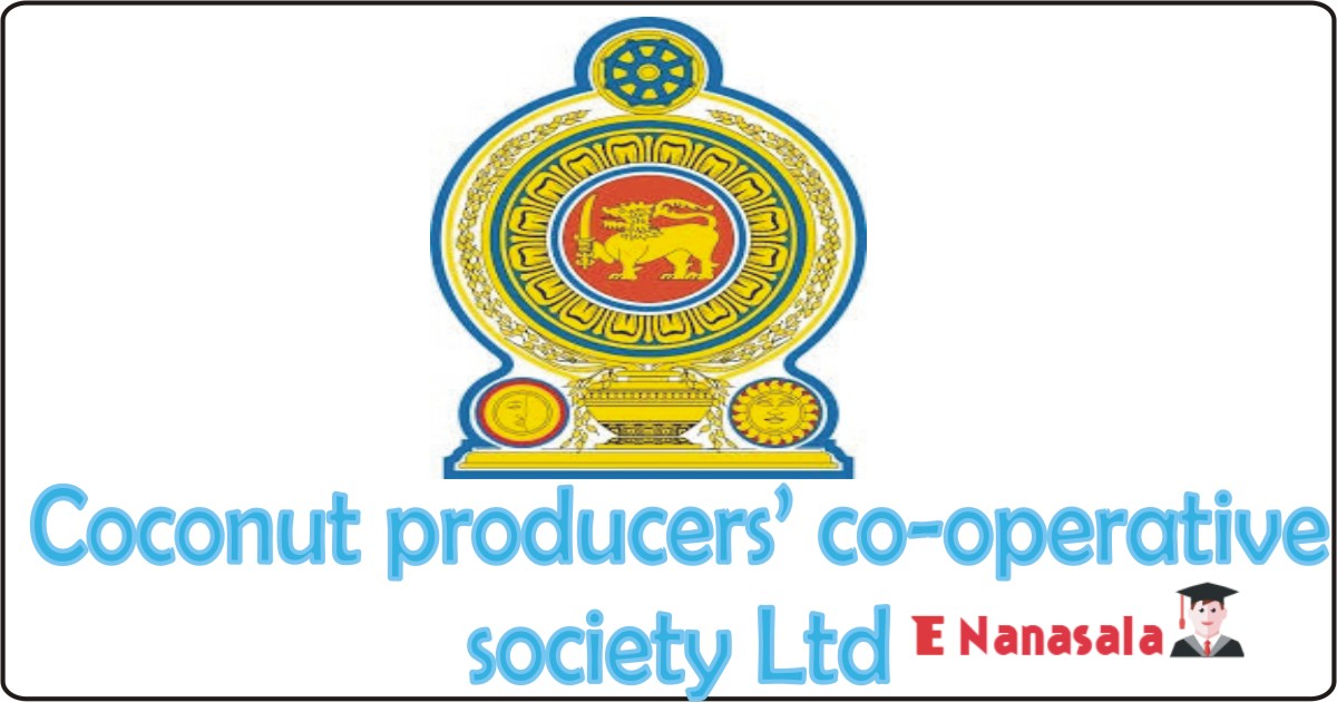 Government Job Vacancies in Dunagaha coconut producers’ co-operative society Ltd Job Vacancies, Accountant, Internal Auditor
