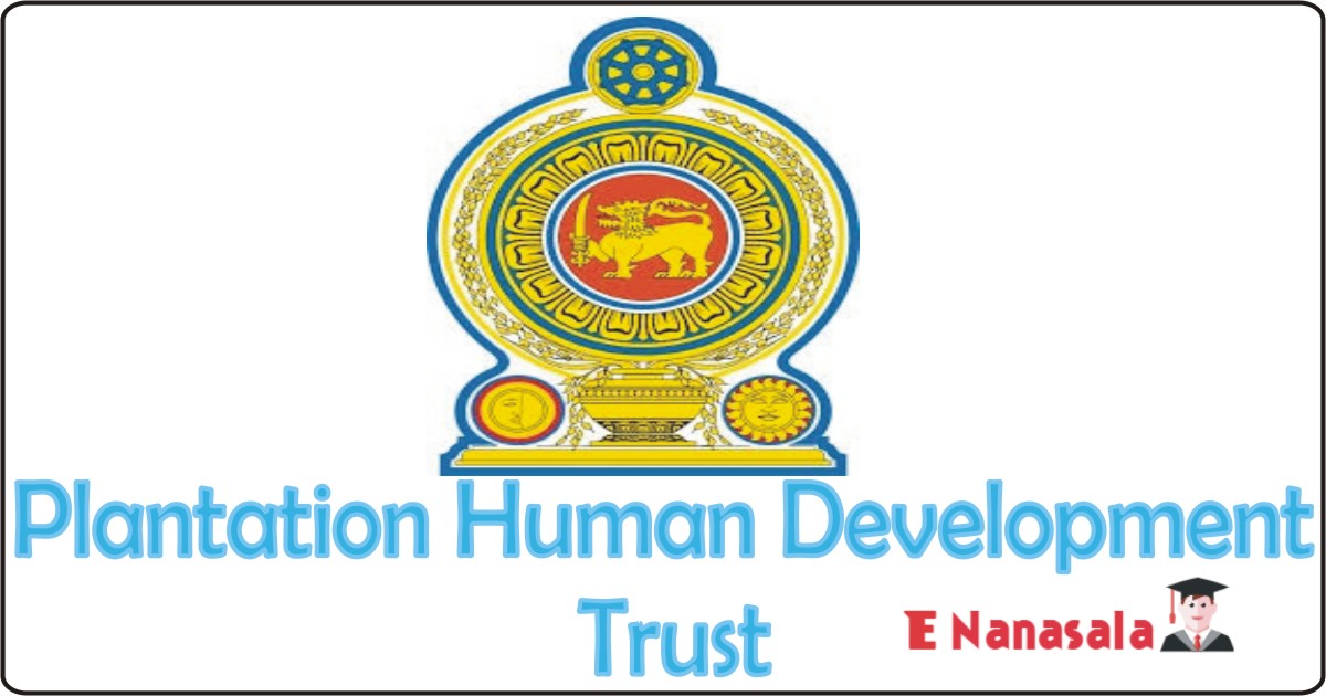 Plantation Human Development Trust Job 2021 Plantation Human Development Trust Vacan, Procurement Officer Job Vacancies