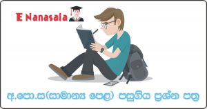 G.C.E. Ordinary Level Exam, G.C.E. Ordinary Level 2018 Past Papers, Ordinary Level Papers in Sri Lanka, O/L Past Papers in Sri Lanka
