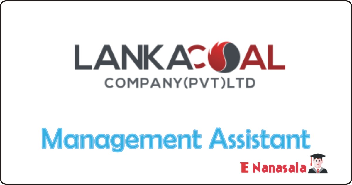 Government Job Vacancies in Lanka Coal Company (Pvt) Ltd, Lanka Coal Company (Pvt) Ltd Job Vacancies, Management Assistant Government Job Vacancies