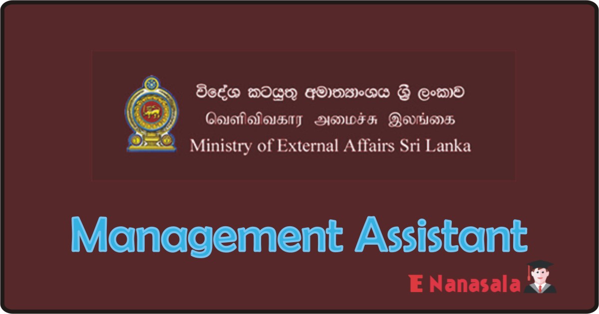 Government Job Vacancies in Ministry of Foreign Affairs, Ministry of Foreign Affairs Job Vacancies, Management Assistant Government Job Vacancies