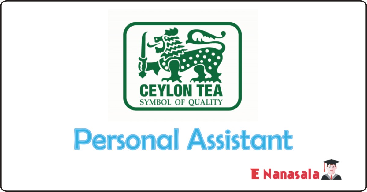 Government Job Vacancies in Sri Lanka Tea Board, Sri Lanka Tea Board Job Vacancies Government Personal Assistant Job Vacancies