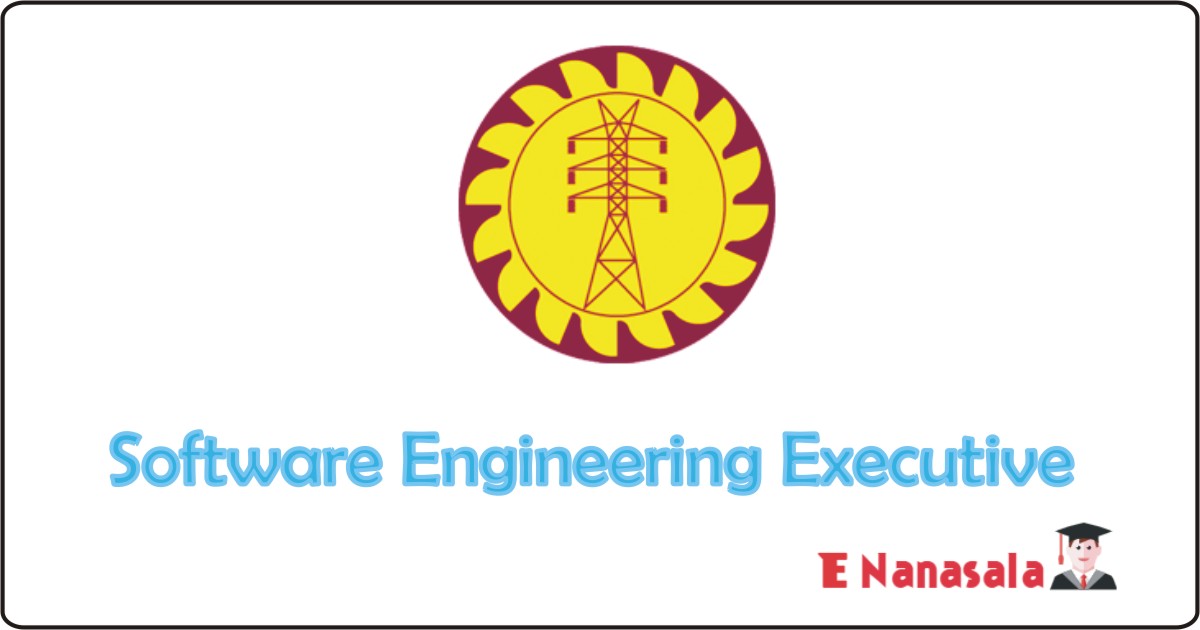 Government Job Vacancies in Ceylon Electricity Board, Ceylon Electricity Board Job Vacancies, Software Engineering Executive Government Job Vacancies