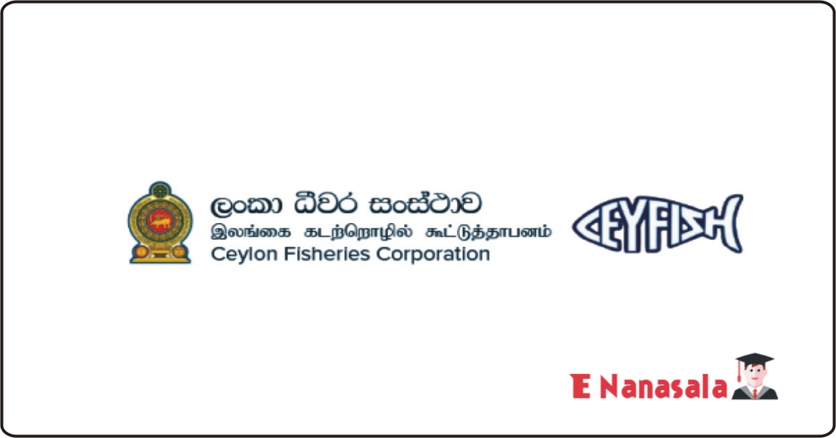 Ceylon Fisheries Corporation Job Vacancies, Ceylon Fisheries Corporation Vacan, Ceylon Fisheries Corporation Vacancies