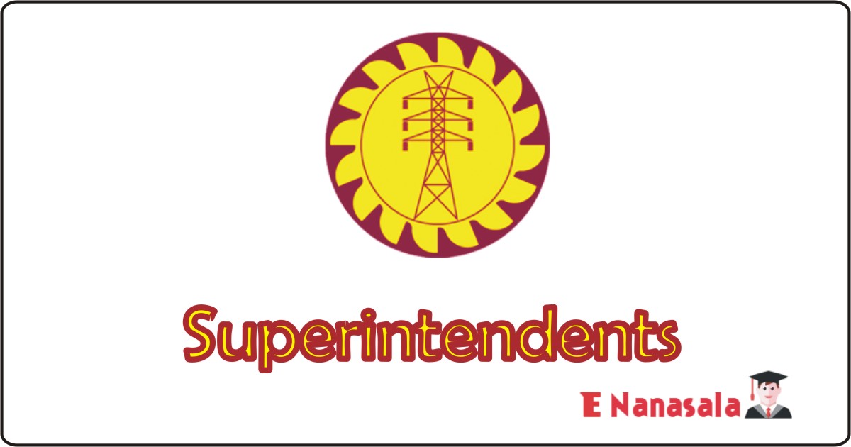 Government Job Vacancies in Ceylon Electricity Board, Ceylon Electricity Board Job Vacancies, Superintendents Government Job Vacancies