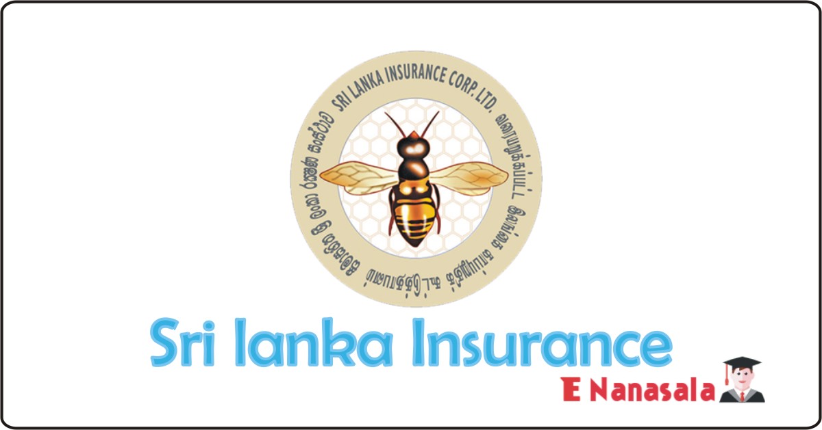 Insurance Job Vacancies in Sri lanka Insurance, Job Vacancies in Sri lanka Insurance