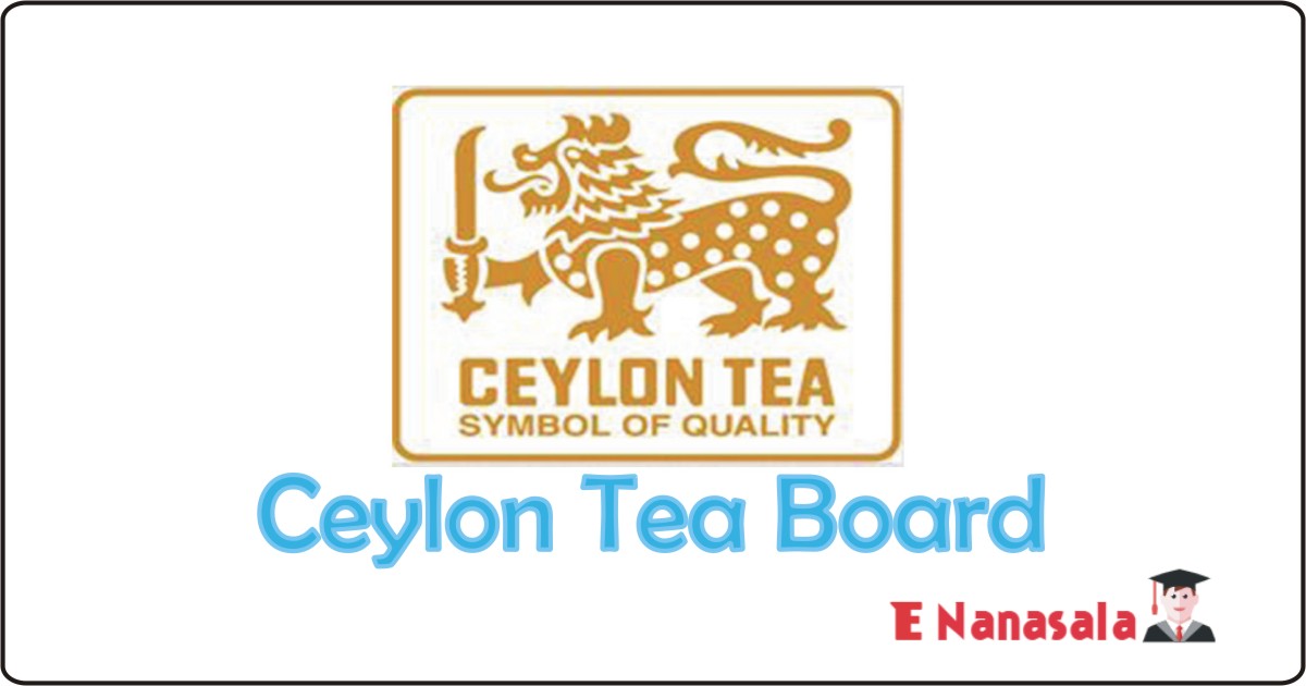 Government Job Vacancies in Assistant Tea Taster, Maintenance Officer Ceylon Tea Board, Ceylon Tea Board Job Vacancies, Tea Board jobs