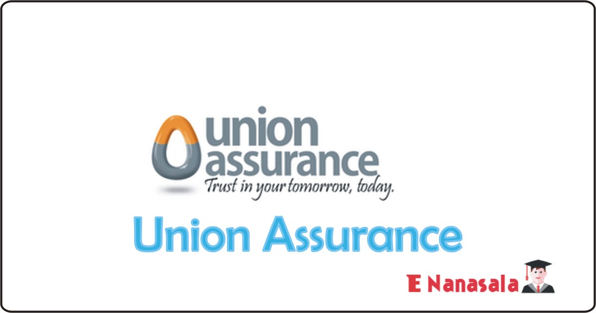 Assurance Job Vacancies in Union Assurance, Union Assurance Job Vacancies, Union Assurance Job Vacancies in Union Assurance