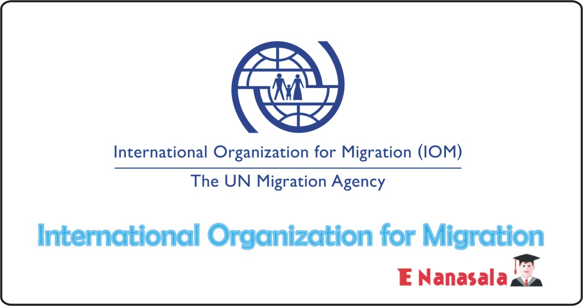 Government Job Vacancies in Organization for Migration, International Organization for Migration Job Vacancies