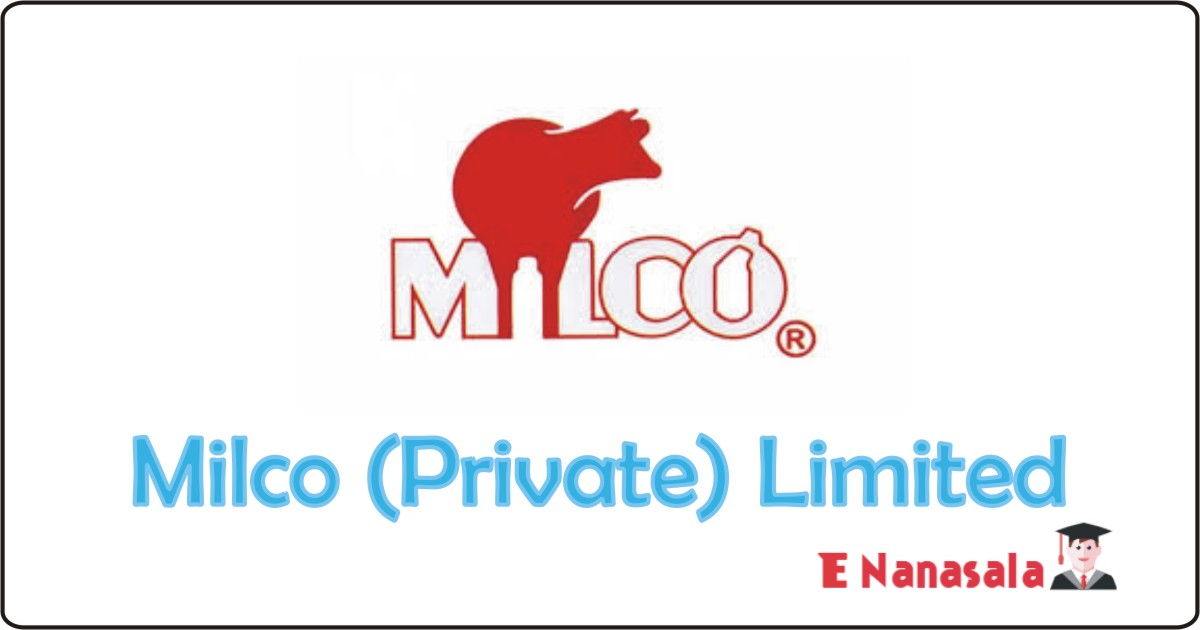 Privet Job Vacancies in Milco (Private) Limited Job Vacancies, Assistant Manager Job in Milco (Private) Limited, Milco (Private) Limited Job Vacancies