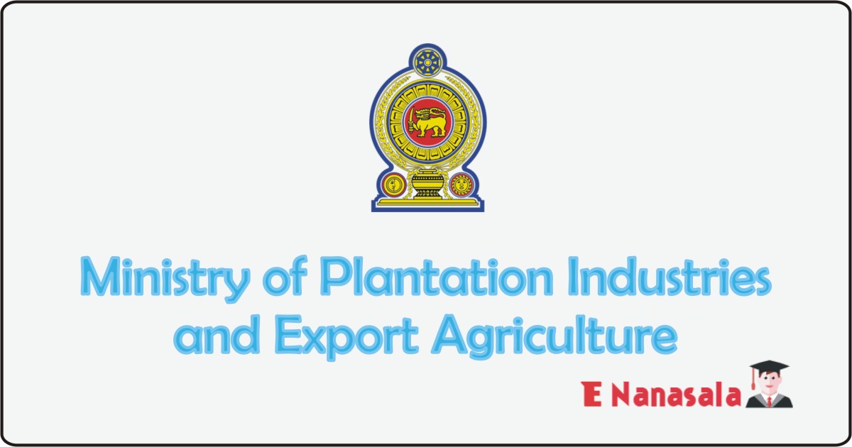Government Job Vacancies in Ministry of Plantation Industries and Export Agriculture Job Vacancies, Ministry of Plantation, Ministry of Agriculture jobs