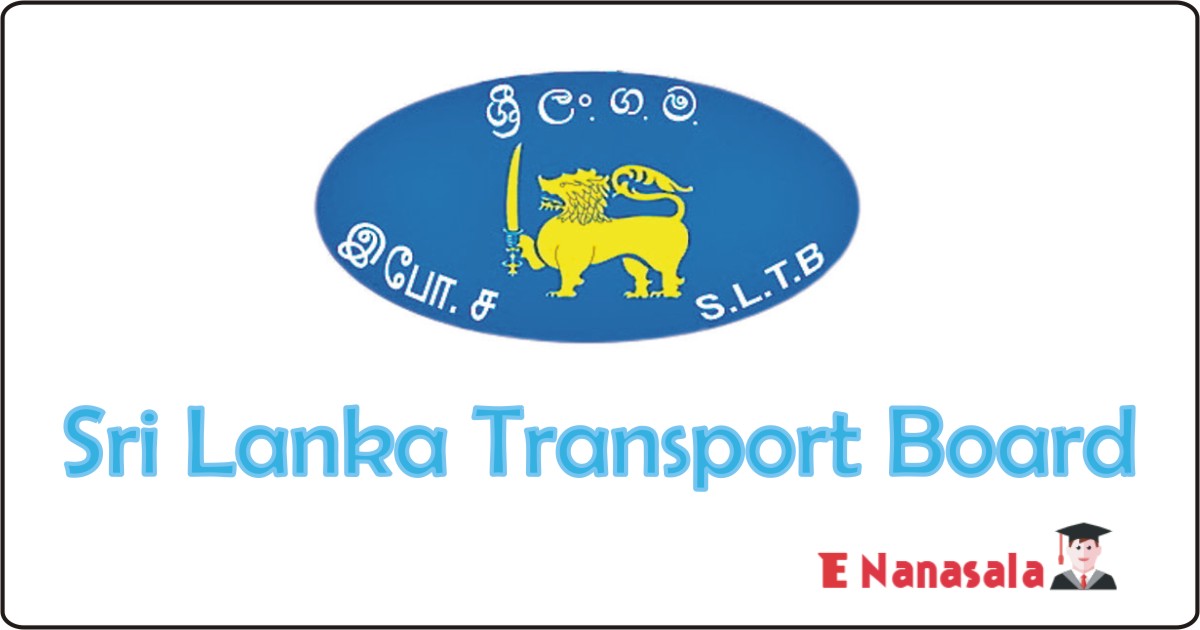 Government Job in Sri Lanka Transport Board, Sri Lanka Transport Board Job Vacancies, Sri Lanka Transport Board jobs