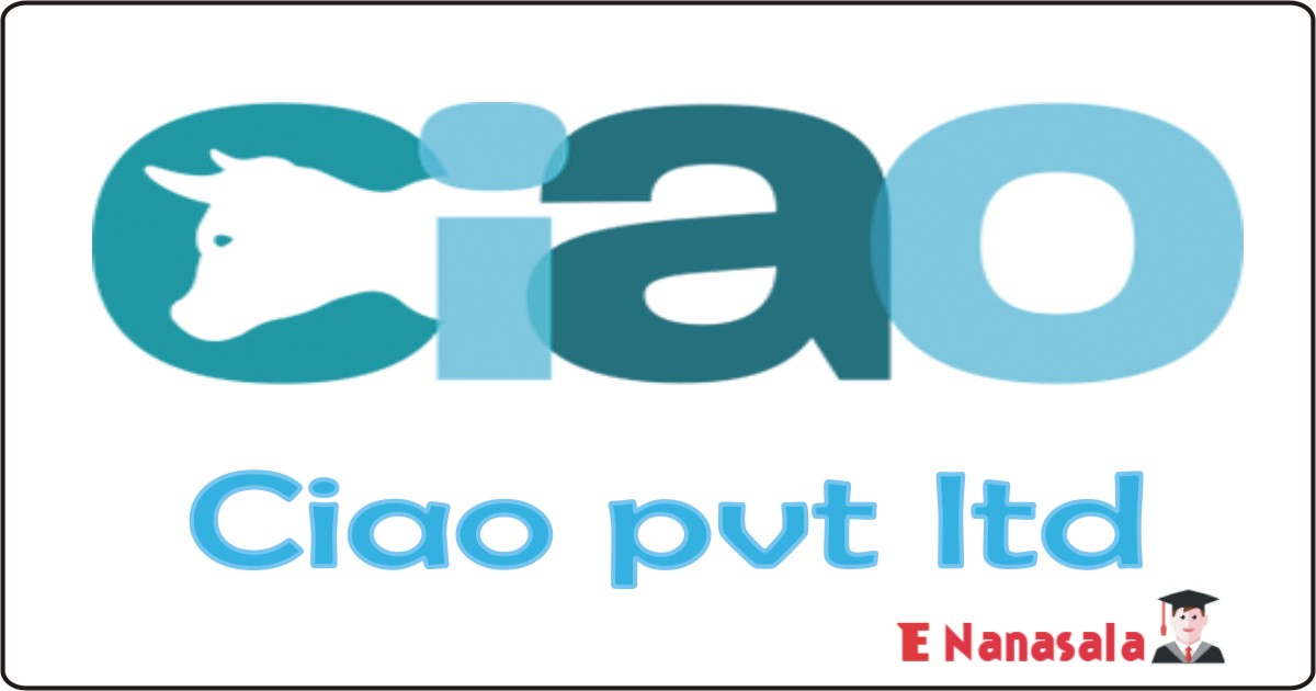 Ciao pvt ltd Job Vacancies 2020, 2021 Sri Lanka Ciao pvt ltd Job Vacan, Ciao pvt ltd Account Assistant Job Vacancies, Ciao pvt ltd Jobs