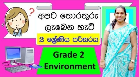 How We Get Information Grade 2 (Environment Lesson)