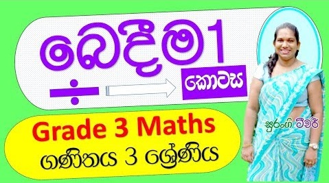 Lesson of Division Grade 3 (Maths Lesson)