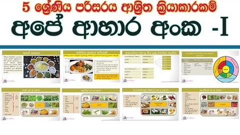 Environment Our Foods lesson 01 - Grade 05