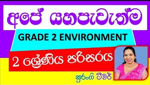 Our Well-Being Grade 2 (Environment Lesson)