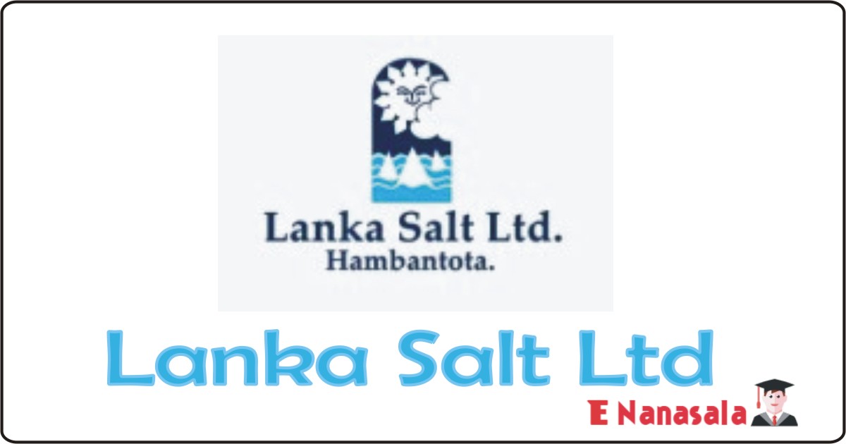 Government Job Vacancies in Chief Executive Officer, Manager, Internal Officer, Lanka Salt Ltd Job Vacancies 2020,2021,2022,Job Vacancies in Sri lanka