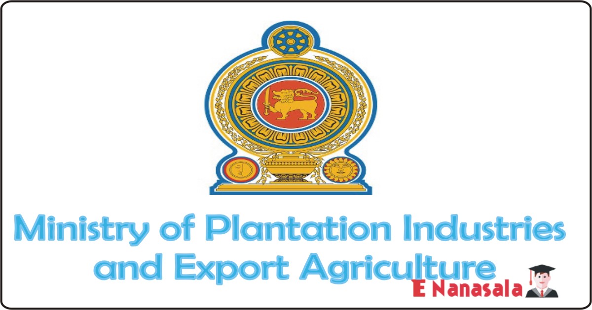 Ministry of Plantation Industries and Export Agriculture 2020 in Ministry of Plantation Industries and Export Agriculture Job Vacancies Manager