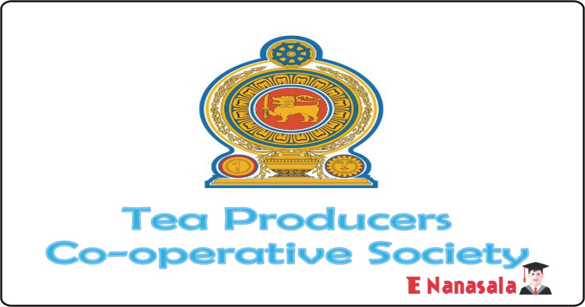 Government Job Vacancies in Tea Producers Co-operative SocietyJob Vacancies,Job Vacancies in Tea Producers Co-operative Society,General Manager