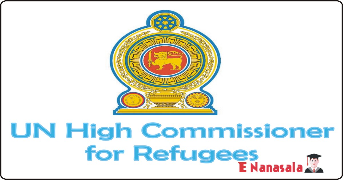 Government Job Vacancies in UN High Commissioner for Refugees (UNHCR) Vacancies, Assistant Program Officer job vacancies in sri lanka