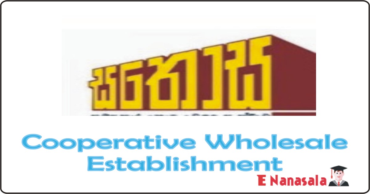 Government Job Vacancies in Cooperative Wholesale Establishment, Cooperative Wholesale Establishment Internal Auditor