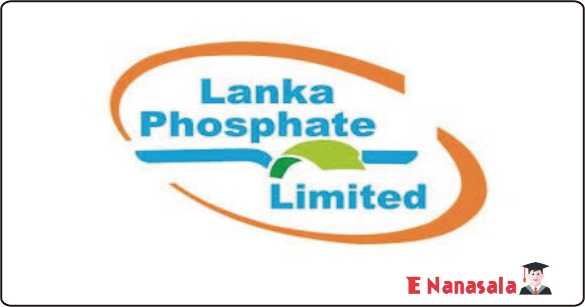 Government Job Vacancies Admin and Human Resource Manager, Deputy General Manager in lanka phosphate ltd, lanka phosphate ltd Job Vacancies