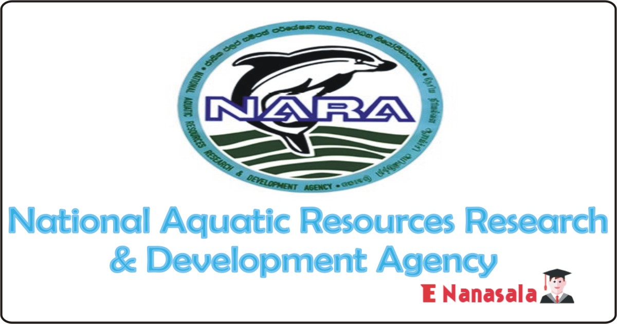 Job Vacancies in National Aquatic Resources Research & Development Agency Job Vacancies, Internal Auditor, Personal Assistant Government Job
