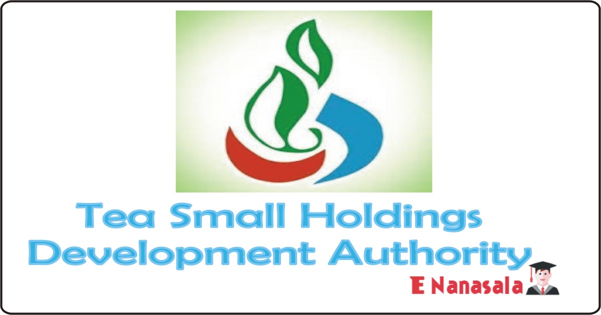 Government Job Vacancies in Tea Small Holdings Development Authority, Tea Small Holdings Development Authority Job Vacancies