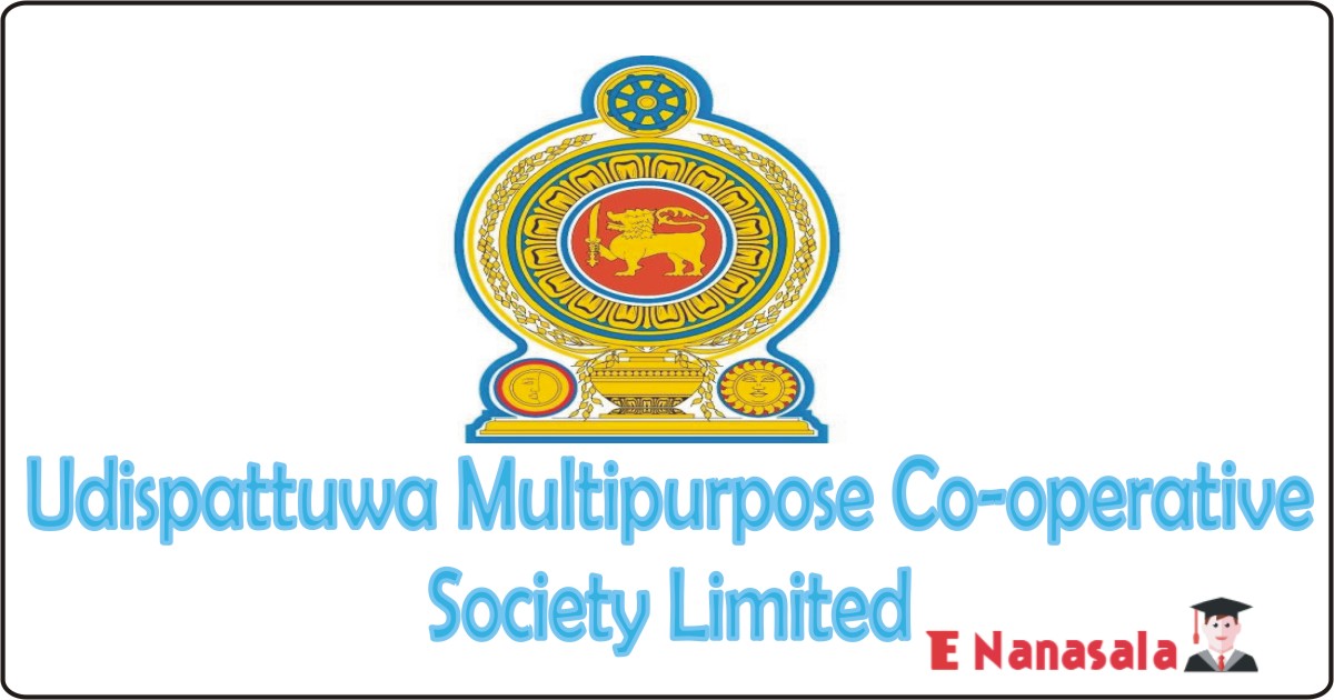 Government Job Vacancies in Udispattuwa Multipurpose Co-operative Society Limited Job Vacancies, Assistant General Manager