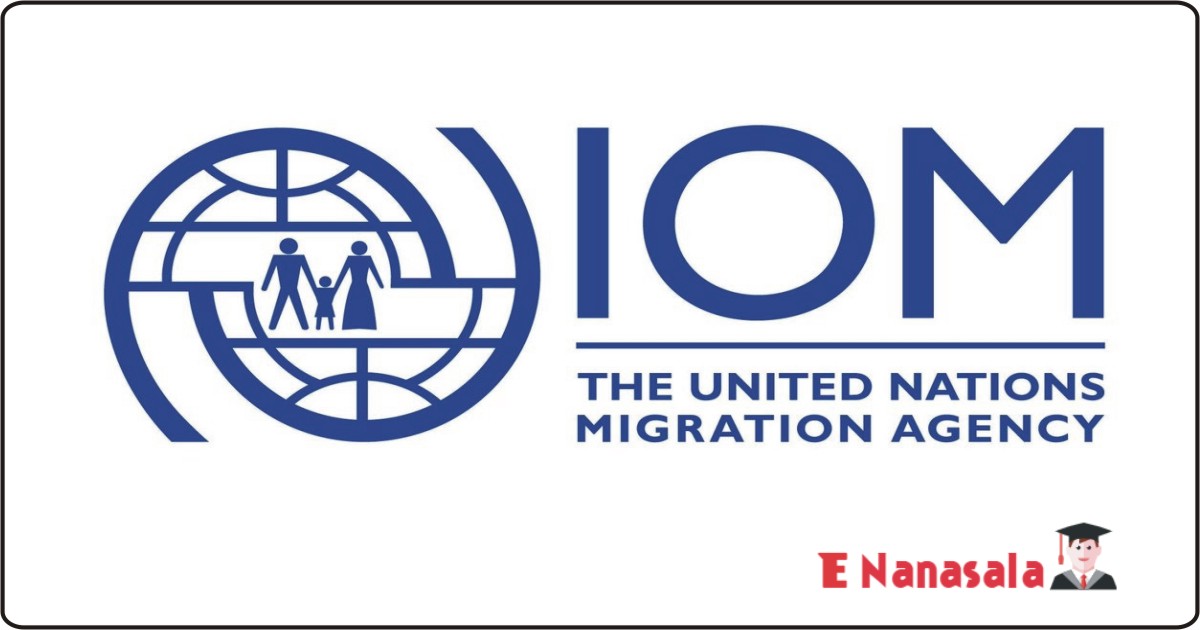 Government Job Vacancies in International organization for migration (IOM) Job Vacancies, International organization for migration (IOM) 2020
