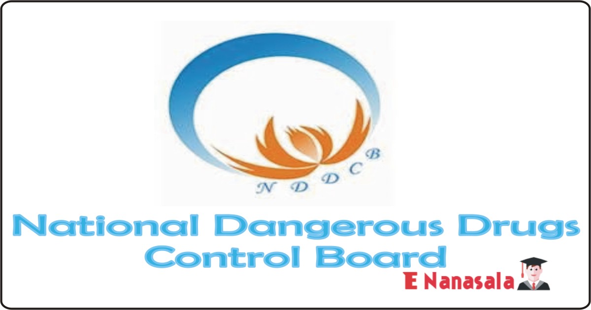 Job Vacancies in National Dangerous Drugs Control Board Job Vacancies, Manager, Administration officer, Management Assistant Government Job