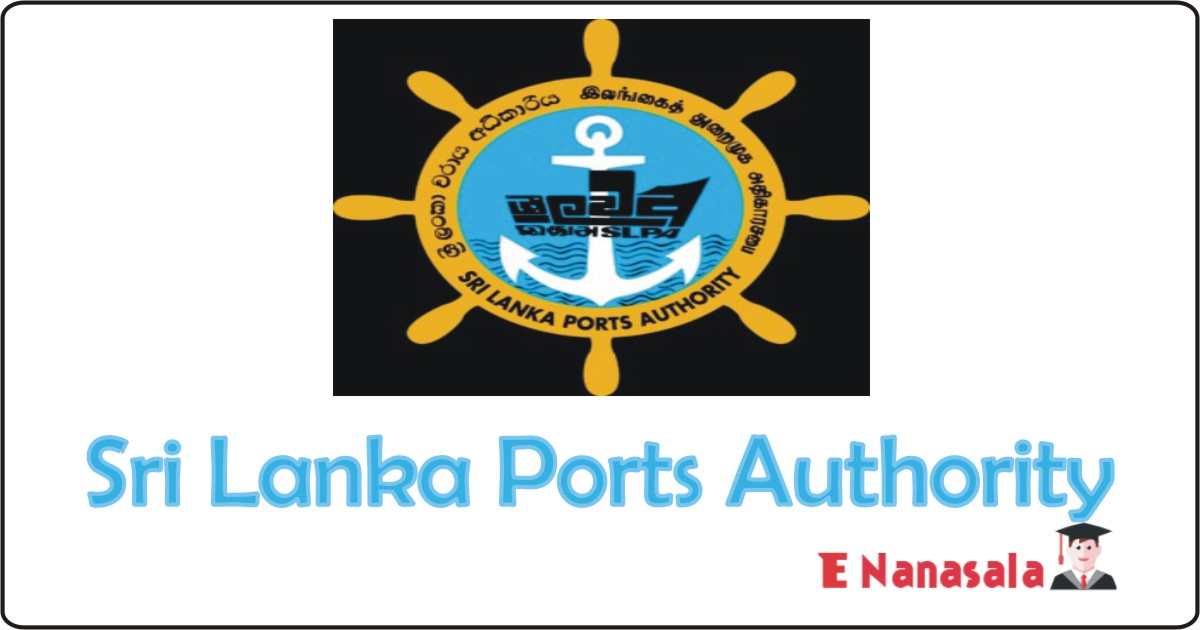 Government Job Vacancies in Sri Lanka Ports Authority, Sri Lanka Ports Authority Job Vacancies Managing Director