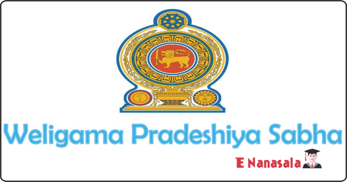 Job Vacancies in Weligama Pradeshiya Sabha, Job Vacancies in Weligama Pradeshiya Sabha Office Assistant New Job in Sri Lanka