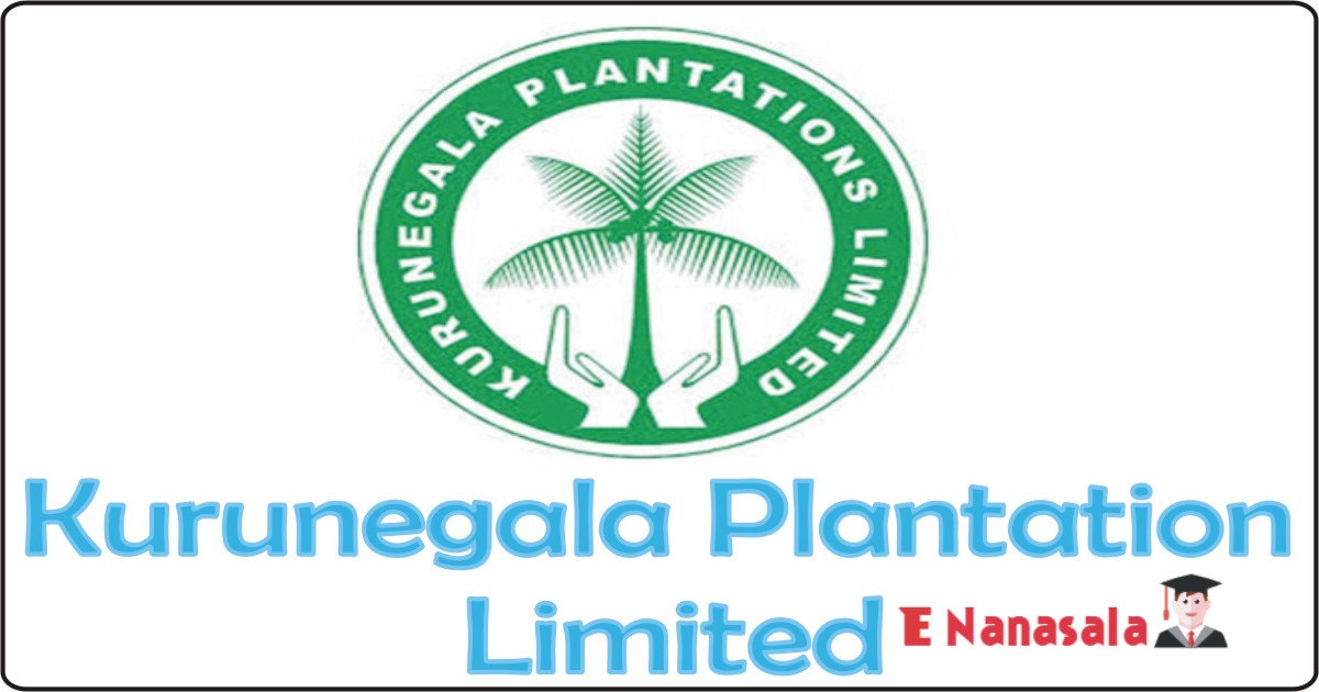 Government Job Vacancies Chief Clerk in Kurunegala Plantation Limited, Kurunegala Plantation Limited 2020,2021