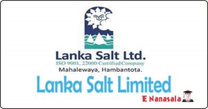 Government Job Vacancies in Lanka Salt Limited, Lanka Salt Limited Maintenance and Process Supervision Manager