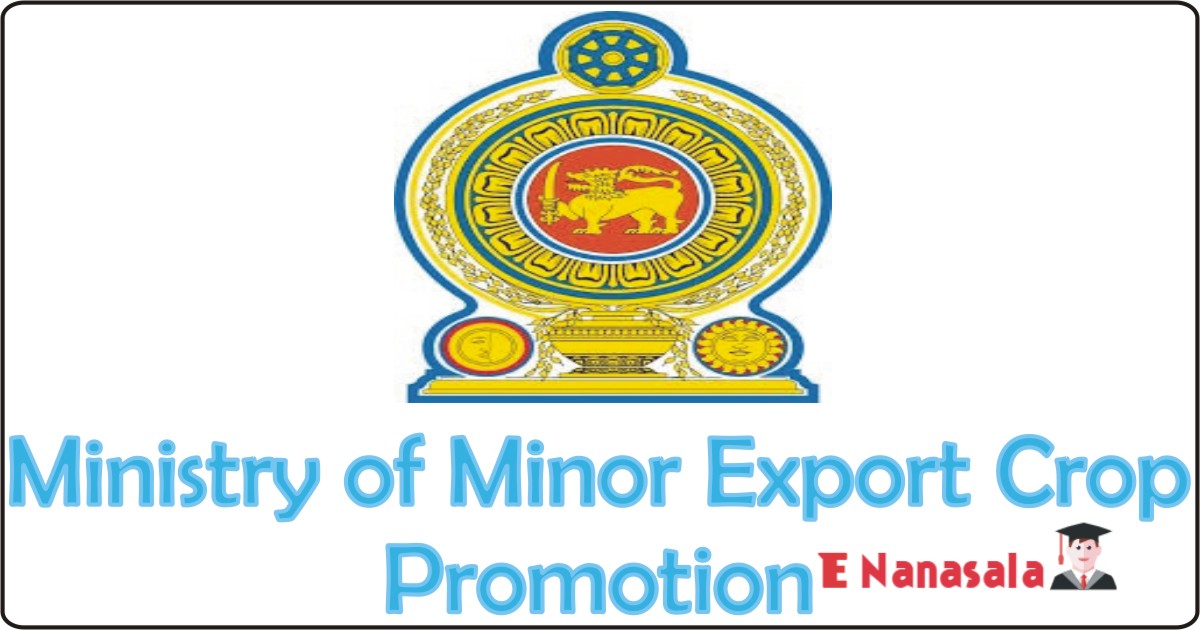 Job Vacancies in Ministry of Minor Export Crop Promotion, Job Vacancies in Ministry of Minor Export Crop Promotion Statistician Vacancies