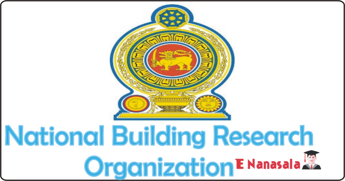 Government Job Vacancies in National Building Research Organization, National Building Research Organization Job Vacancies, Director
