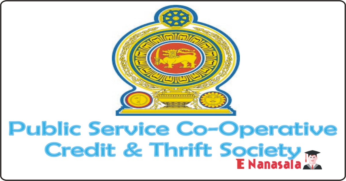 Government Job Vacancies in Public Service Co-Operative Credit & Thrift Society Ltd Job Vacancies, Financial Manager