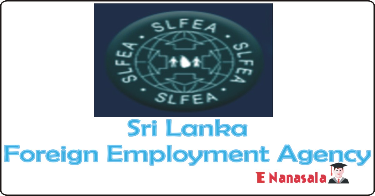 Government Job Vacancies in Sri Lanka Foreign Employment Agency, Sri Lanka Foreign Employment Agency (Pvt) Ltd Job Vacancies 2020