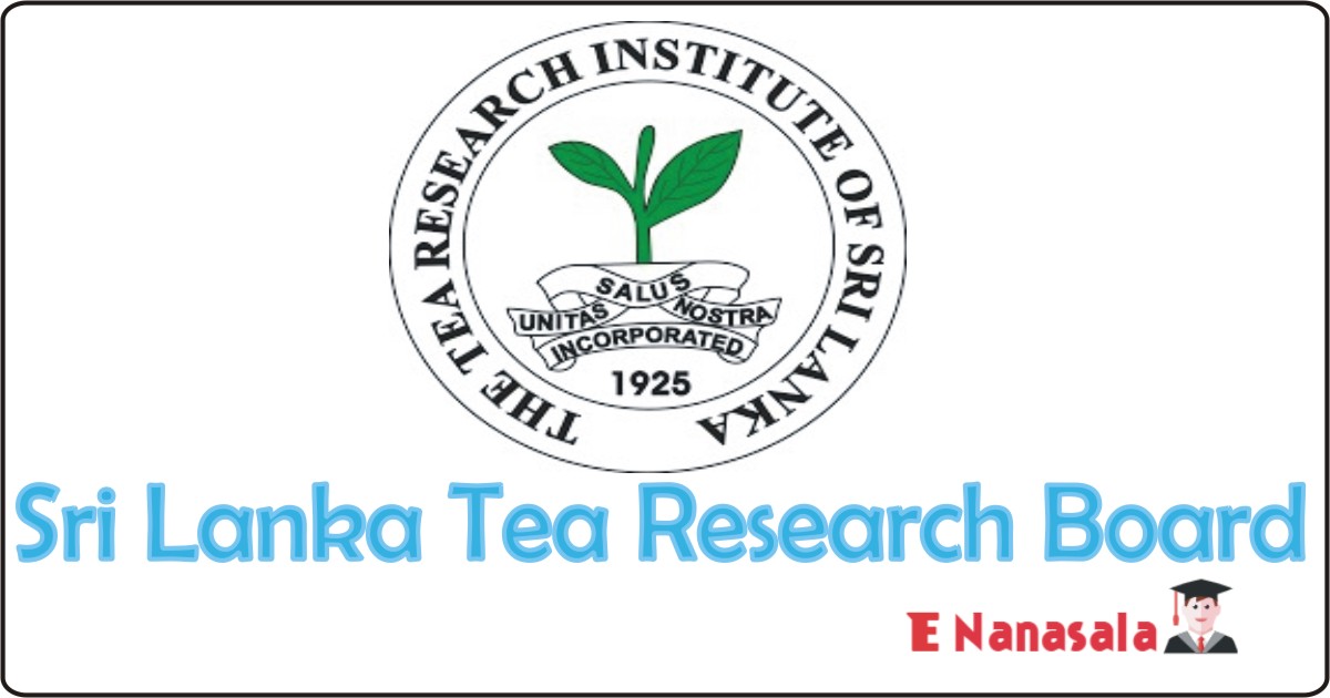 Government Job Vacancies 2020, Jobs in Sri Lanka Tea Research Board, Estate Medical Professional Job Vacancies