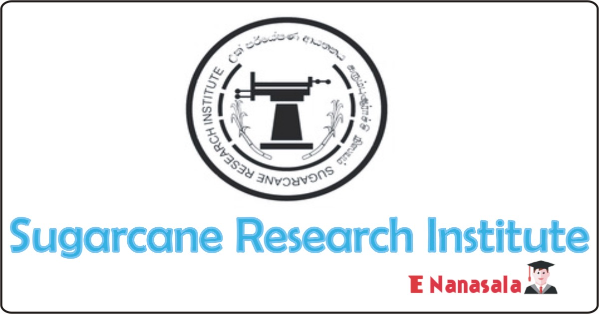 Government Job Vacancies Internal Auditor, Procurement Officer in Sugarcane Research Institute, Sugarcane Research Institute Job Vacancies