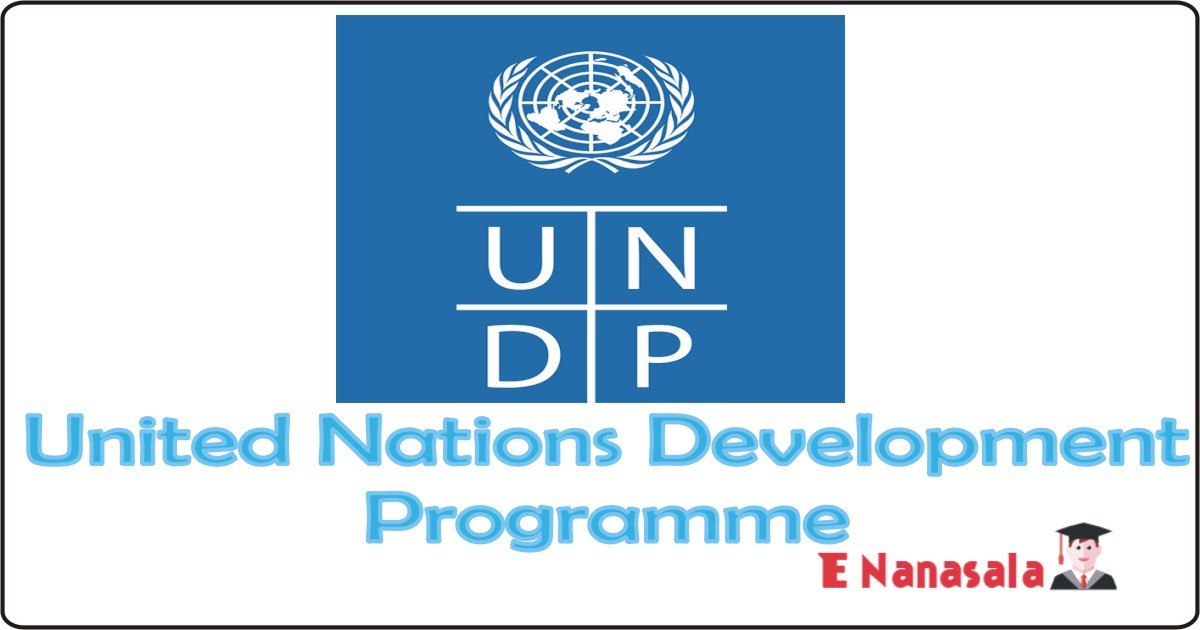 Government Job Vacancies 2020, 2021 Jobs in United Nations Development Programme, Consultant Job Vacancies