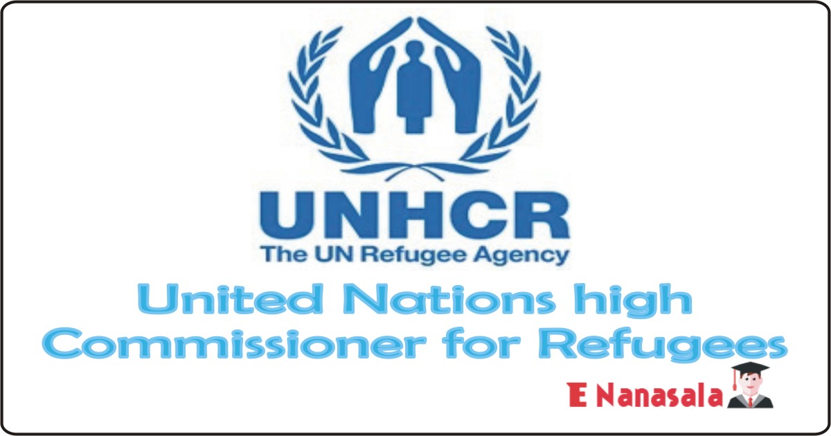Government Job Vacancies in United Nations high Commissioner for Refugees Job Vacancies Officer, job vacancies in sri lanka 2020