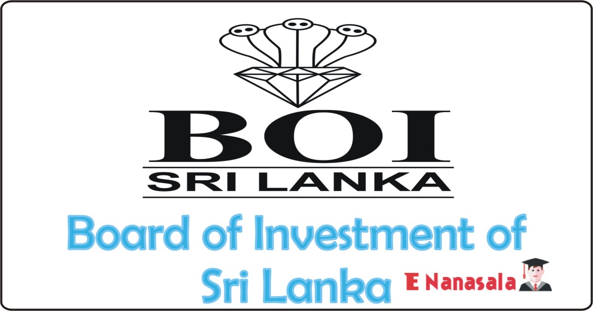 Government Job Vacancies in Web Developer, Board of Investment of Sri Lanka Job Vacancies, Board of Investment of Sri Lanka jobs