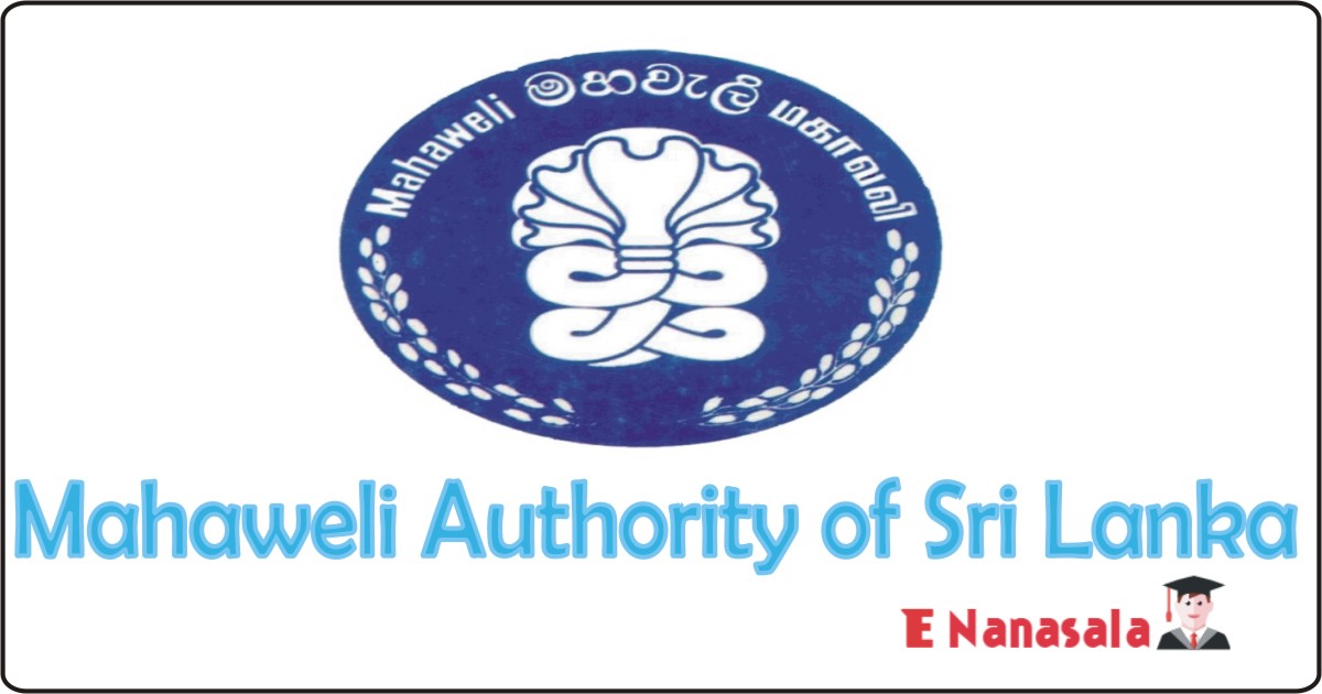 Government Job Vacancies in Mahaweli Authority of Sri lanka, Job Vacancies Crop Scientist (Manager), New Job Vacancies