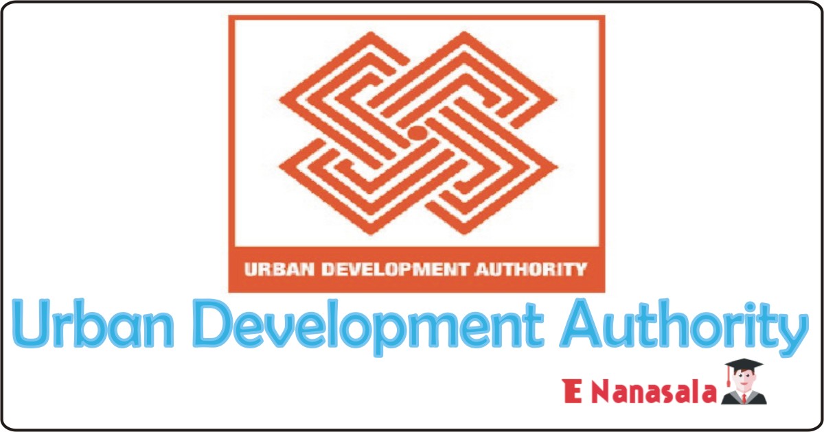 Government Job Vacancies in Urban Development Authority, Urban Development Authority Job, Director Government Vacancies