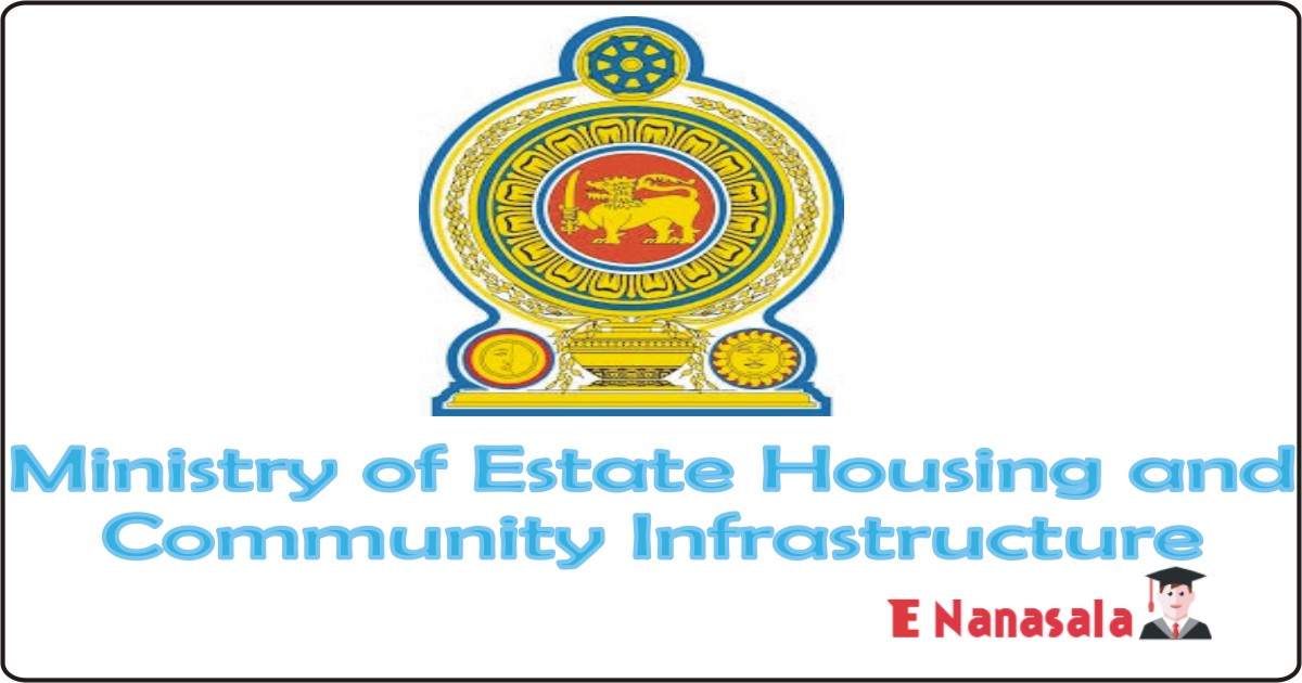 Government Job Vacancies in Ministry of Estate Housing and Community Infrastructure Job Vacancies, Engineering Consultant, Project Engineer