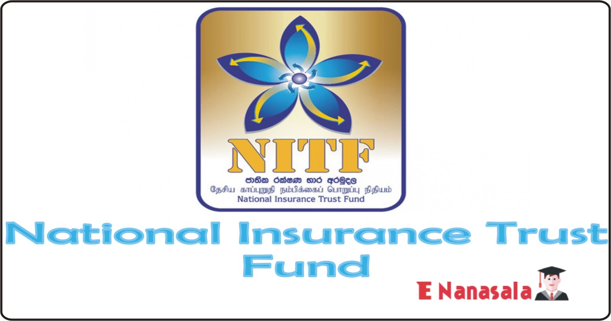 Government Job Vacancies in Assistant Manager, Insurance Officer National Insurance Trust Fund, National Insurance Trust Fund Vacancies